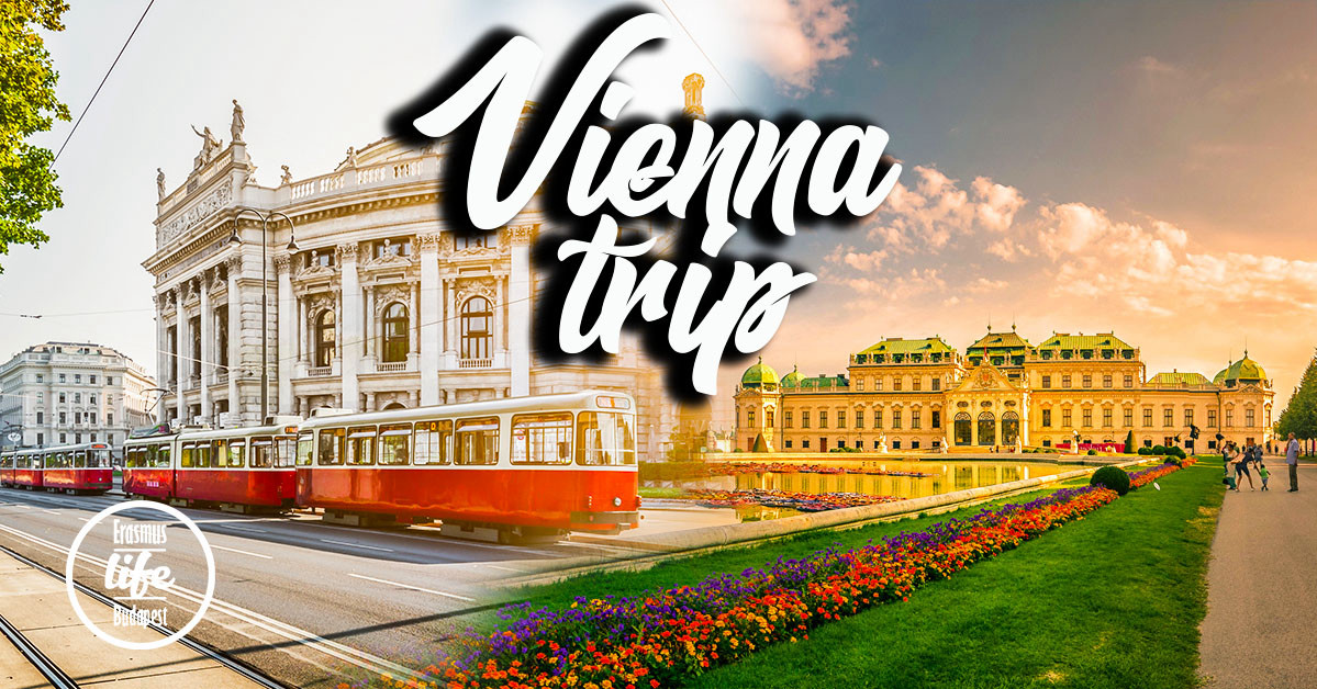 vienna260308