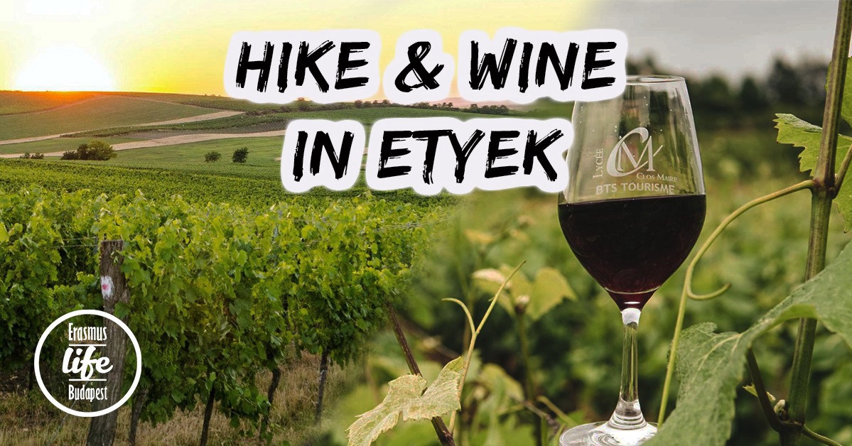 Hike &amp; Wine &#8211; Etyeki Piknik ✘ 12th April