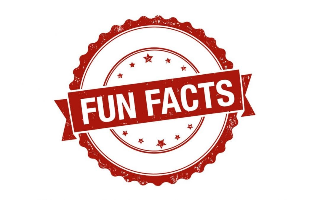 Tips & Fun Facts